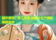 国外蘑菇厂务工实录 智能化生产揭秘吸睛视频