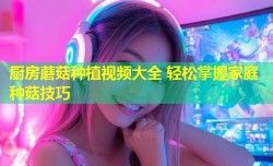 厨房蘑菇种植视频大全 轻松掌握家庭种菇技巧