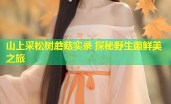 山上采松树蘑菇实录 探秘野生菌鲜美之旅