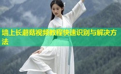 墙上长蘑菇视频教程快速识别与解决方法