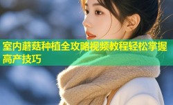 室内蘑菇种植全攻略视频教程轻松掌握高产技巧