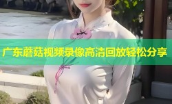 广东蘑菇视频录像高清回放轻松分享