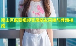 南山区蘑菇视频实录精彩采摘与养殖指南
