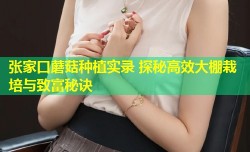 张家口蘑菇种植实录 探秘高效大棚栽培与致富秘诀