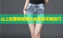 山上捡蘑菇视频大全实用采摘技巧