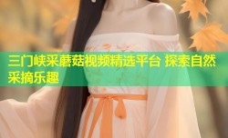 三门峡采蘑菇视频精选平台 探索自然采摘乐趣