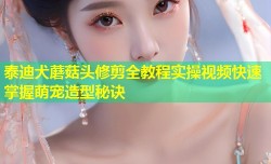 泰迪犬蘑菇头修剪全教程实操视频快速掌握萌宠造型秘诀