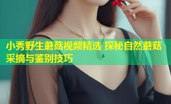小秀野生蘑菇视频精选 探秘自然蘑菇采摘与鉴别技巧