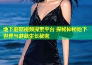 地下蘑菇视频探索平台 探秘神秘地下世界与蘑菇生长秘密