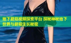 地下蘑菇视频探索平台 探秘神秘地下世界与蘑菇生长秘密