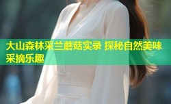 大山森林采兰蘑菇实录 探秘自然美味采摘乐趣