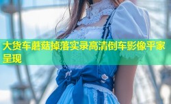 大货车蘑菇掉落实录高清倒车影像平家呈现