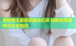 奇特野生蘑菇采摘全纪录 探秘自然美味与安全知识
