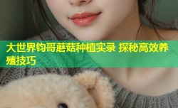 大世界钧哥蘑菇种植实录 探秘高效养殖技巧