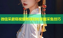 微信采蘑菇视频教程轻松掌握采集技巧