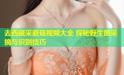 去西藏采蘑菇视频大全 探秘野生菌采摘与识别技巧