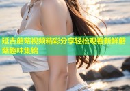 延吉蘑菇视频精彩分享轻松观看新鲜蘑菇趣味集锦