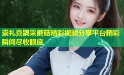崇礼喜鹊采蘑菇精彩视频分享平台精彩瞬间尽收眼底