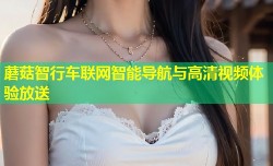 蘑菇智行车联网智能导航与高清视频体验放送