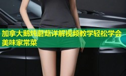 加拿大鹅炖蘑菇详解视频教学轻松学会美味家常菜