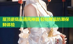 屋顶蘑菇头通风神器 轻松降温防潮保鲜体验