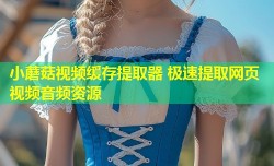 小蘑菇视频缓存提取器 极速提取网页视频音频资源