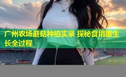 广州农场蘑菇种植实录 探秘食用菌生长全过程