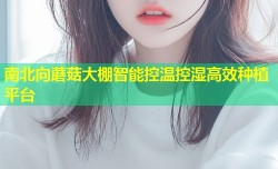 南北向蘑菇大棚智能控温控湿高效种植平台