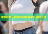 地震蘑菇云视频实时监测平台震撼上线