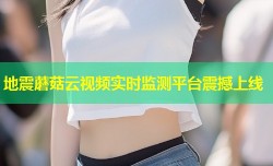 地震蘑菇云视频实时监测平台震撼上线