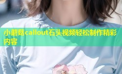 小蘑菇callout石头视频轻松制作精彩内容