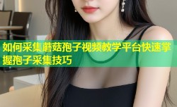 如何采集蘑菇孢子视频教学平台快速掌握孢子采集技巧