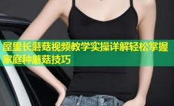 屋里长蘑菇视频教学实操详解轻松掌握家庭种蘑菇技巧
