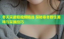 冬天采蘑菇视频精选 探秘寒冬野生美味与采摘技巧