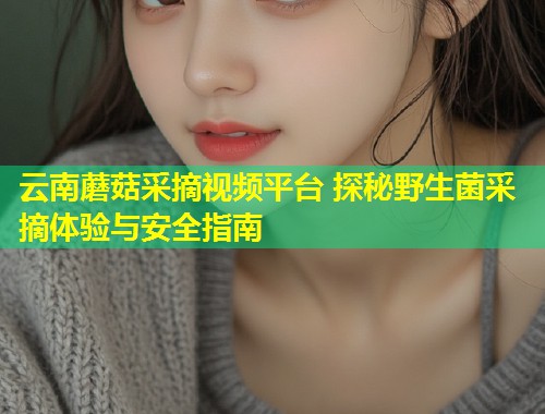 云南蘑菇采摘视频平台 探秘野生菌采摘体验与安全指南  第1张