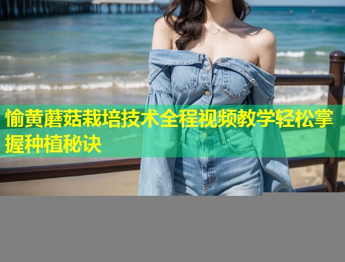 愉黄蘑菇栽培技术全程视频教学轻松掌握种植秘诀  第1张