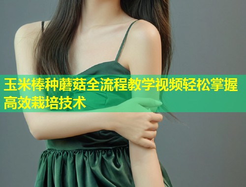 玉米棒种蘑菇全流程教学视频轻松掌握高效栽培技术  第1张