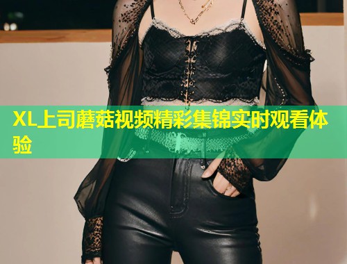 XL上司蘑菇视频精彩集锦实时观看体验  第1张