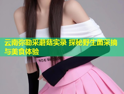云南弥勒采蘑菇实录 探秘野生菌采摘与美食体验  第1张
