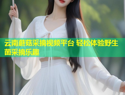 云南蘑菇采摘视频平台 轻松体验野生菌采摘乐趣  第1张