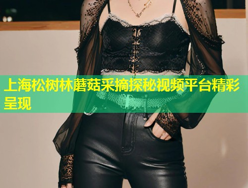 上海松树林蘑菇采摘探秘视频平台精彩呈现  第1张
