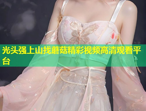 光头强上山找蘑菇精彩视频高清观看平台  第1张