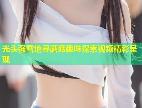 光头强雪地寻蘑菇趣味探索视频精彩呈现  第1张