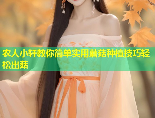 农人小轩教你简单实用蘑菇种植技巧轻松出菇  第1张