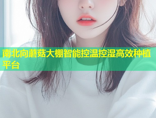 南北向蘑菇大棚智能控温控湿高效种植平台  第1张