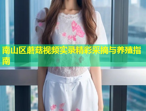 南山区蘑菇视频实录精彩采摘与养殖指南  第1张