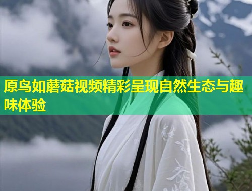 原鸟如蘑菇视频精彩呈现自然生态与趣味体验  第2张