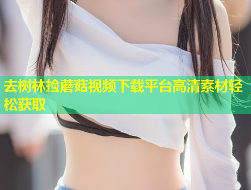 去树林捡蘑菇视频下载平台高清素材轻松获取  第1张