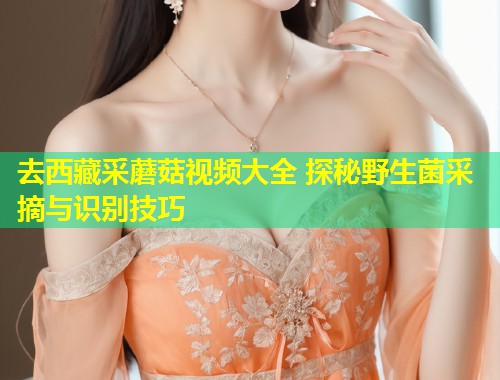 去西藏采蘑菇视频大全 探秘野生菌采摘与识别技巧  第1张