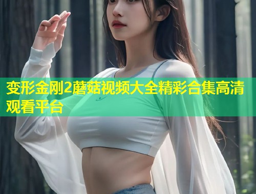 变形金刚2蘑菇视频大全精彩合集高清观看平台  第1张